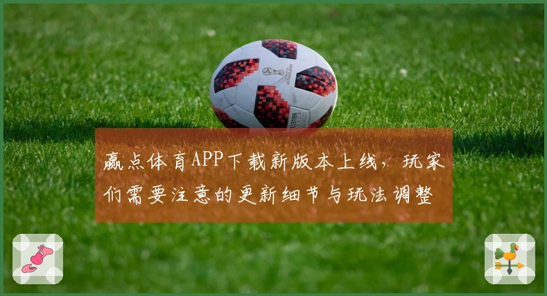 赢点体育APP下载新版本上线，玩家们需要注意的更新细节与玩法调整