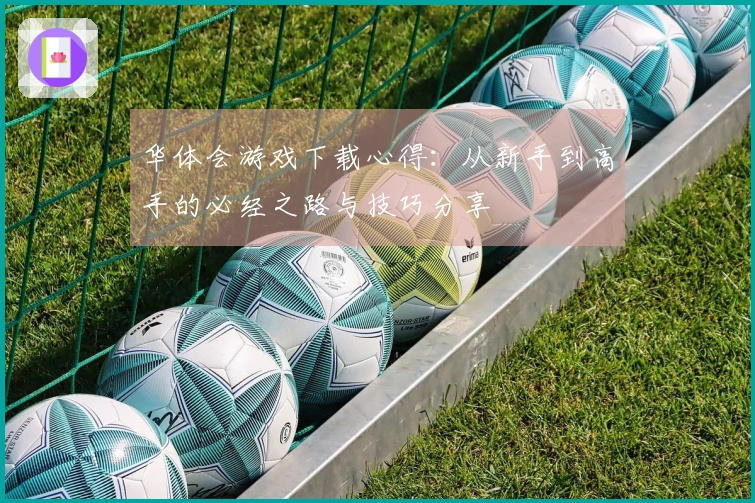 华体会游戏下载心得：从新手到高手的必经之路与技巧分享